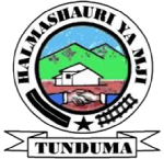 TUNDUMA TOWN COUNCIL