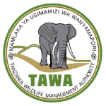 TAWA - WESTERN ZONE