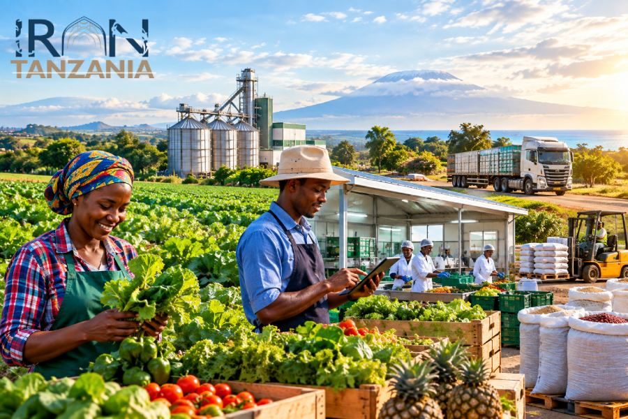 https___irantanzania.ir_tanzania-50-billion-agriculture-financing_